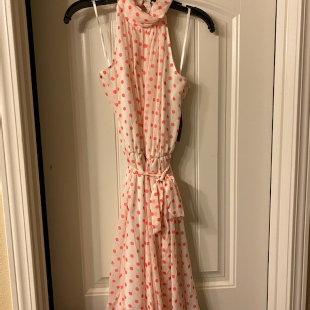Eva Mendez dress